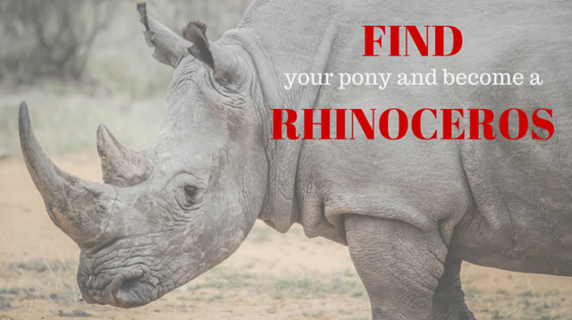 033 Find your pony and become a rhinoceros