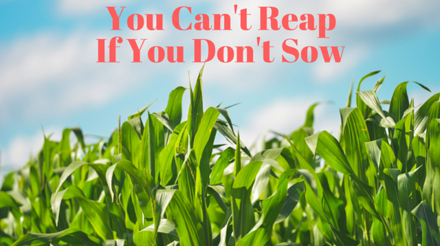 049 You Can’t Reap If You Don’t Sow